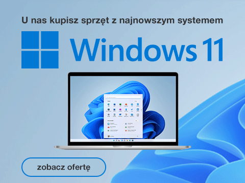 Windows 11