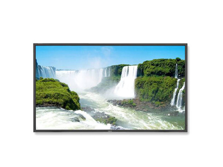 Monitor 40" LCD NEC P401 S-PVA 1920x1080 HDMI DisplayPort DVI-D VGA BNC RCA RS-232c LAN, (US), 1 rok gwarancji