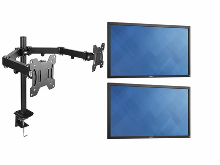 2 x Monitor 23.8" LED Dell E2417H IPS 1920x1080 Display Port VGA, (2UB), 3 lata gwarancji