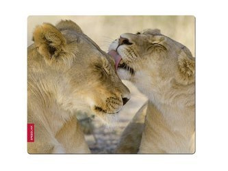 Podkładka pod mysz SpeedLink SILK Lion (SL-6242-LION)