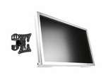 Monitor 24'' LCD NEC MultiSync EA241WM 1920x1200 DVI VGA USB, głośniki, (US), 1 rok gwarancji